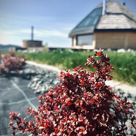 Heavenly - Niebiańskie Jaworzynka