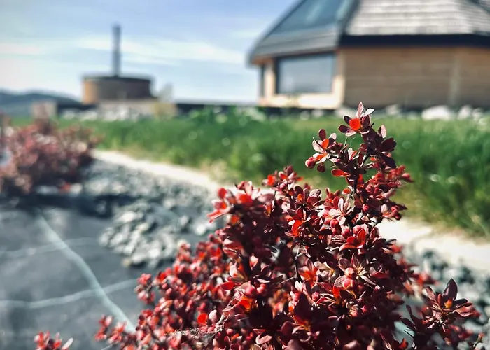 Heavenly - Niebianskie Jaworzynka